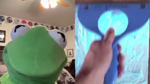 Funny video compilation Kermit