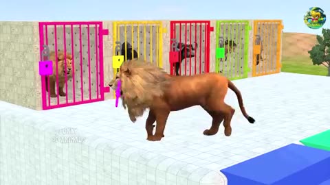 Paint_Animals_Gorilla_Cow_Tiger_Lion_Elephant_Fountain_Crossing_Animal_Game(360p).mp4