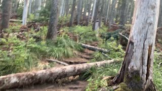 Oregon - Mount Hood - "Trip Hazard" Hiking