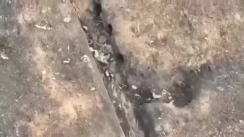Dropping Grenades into Russian Trenches
