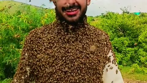 Man struggling with bee's
