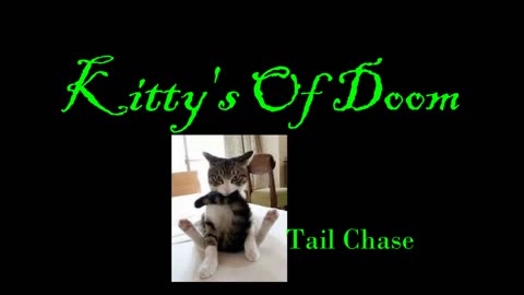 Kitty's of Doom- tail chase