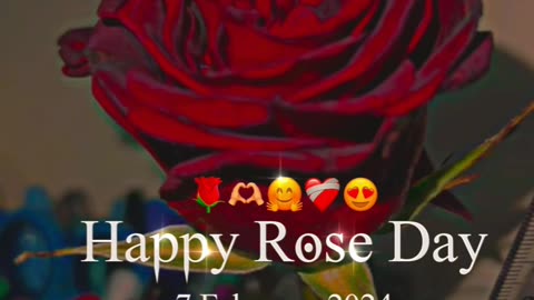 Rose day