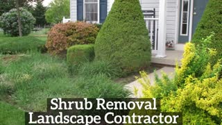 Landscape Hagerstown Maryland Shrub Removal