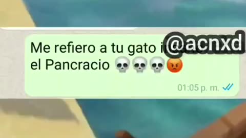 Gato Insano 🐆 - Chat de Whassap