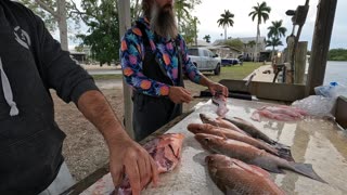 Hawk Steals Filets From Fisherman