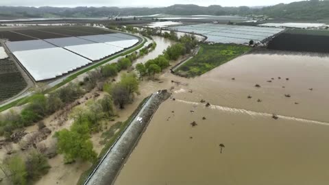 Drone video shows California levee breach