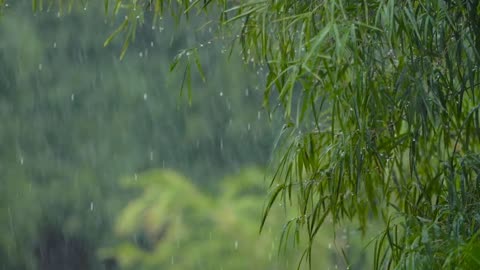 "Relaxing Rain Sounds: Hours of Nature's Melody for Deep Sleep & Meditation" sleep music