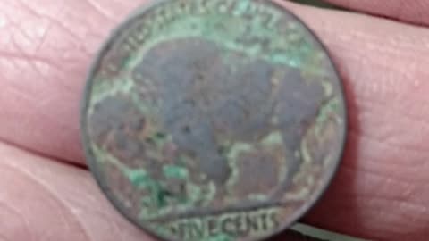 Nice Buffalo Nickel Found