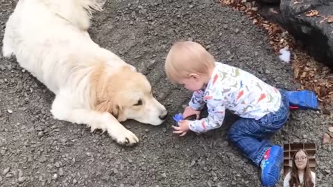 Adorable Babies Playing With Dogs Compilation - Funny Baby And Dog Videos -- Just Laugh
