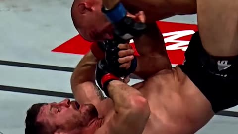 Fighter's Reflect on GSP vs Bisping