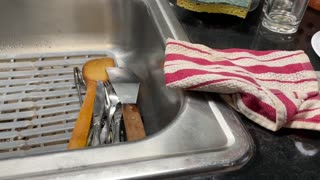 Dishwashing 13