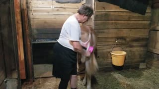 Brushing Breeze