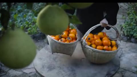 May % the % red, % red % persimmons % bring % you % a happy, prosperous new year!