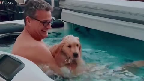 Brave Puppy Jumps Into Hot Tub