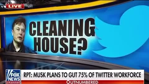 Musk Plans To Gut 75% Of Twitter Work Force