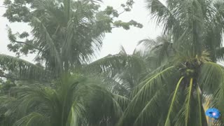 eYe KWU - Tropical Storm Heavy Rain Sleeping Soothing Relaxing Meditation & Yoga Healing Spirit Soul