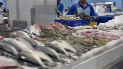 Fish market in #Dubai