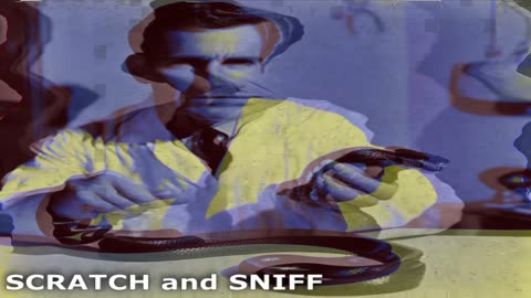 SCRATCH and SNIFF TELEVISION
