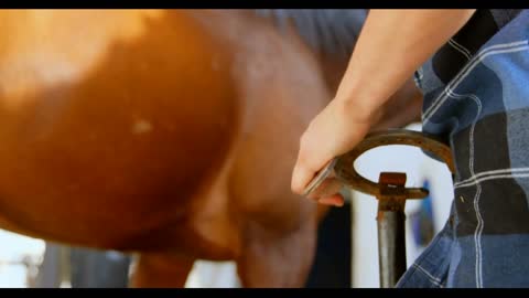 Woman polishing horseshoes at stable