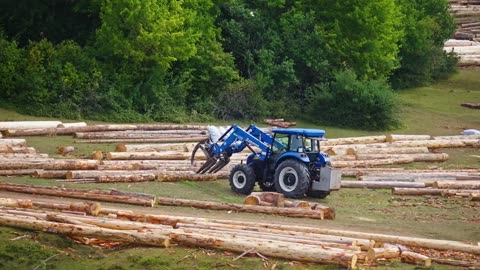 Bobcat lifting wooden logs cut down and needing to be piled up
