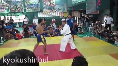 Karate Fight