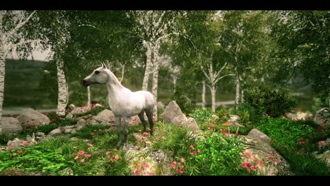 Horse || Beach || Forest || Animal || HD VIDEOS