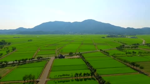 pastoral scenery