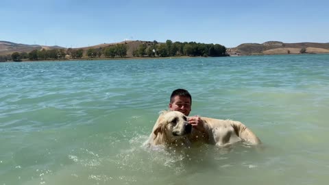 Funny Golden Retriever for the First Time on the Lake!