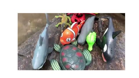 Sea animal toys