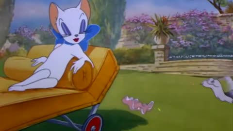 Tom and Jerry videos Compilation