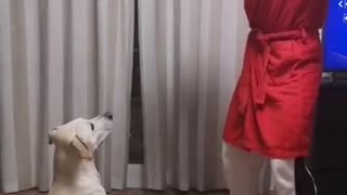 Curiquitaca Challenge With Dog • Dog Reaction