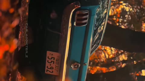 1966/ Mustang 🔥