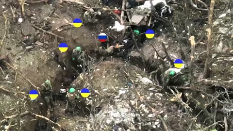Ukrainians Storming Russian Trenches(Insane)