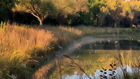 Toxic Downpour: “Forever Chemicals” Rain on All Five Great Lakes