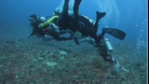 divers in a current at sea 😱😱😱🤿