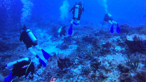 Cozumel SCUBA Diving Punta Tunich Drift Diving