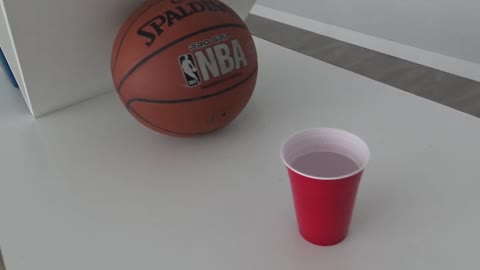 Ping Pong Ball Bouncing Through Obstacles And Into A Cup - Impressive Trick Shot