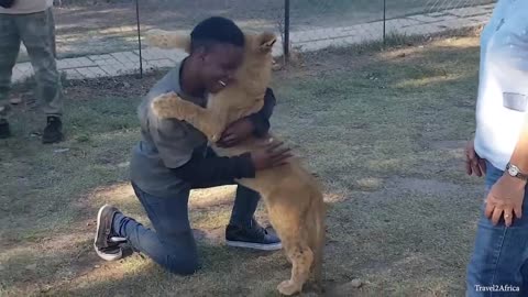 When Animals Showing Love to Human by Their Cute Way - Funny Animal Videos 2023!