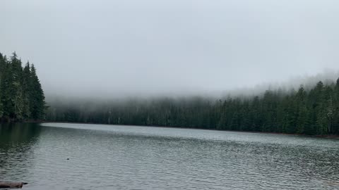 Oregon – Mount Hood National Forest – Blanket of Fog around Lower Twin Lake – 4K