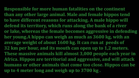 Top 20 Deadliest Animals In The World - IMO