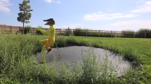 Rubber Ducky Surprises Puppy & Crocodile with Car Ride Chase!