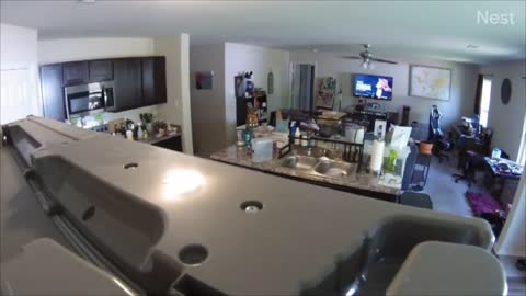 Guy Wacks His Hand in the Ceiling Fan Getting Excited Over a Football Game