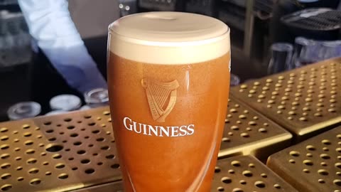 Very fresh Guiness draft beer