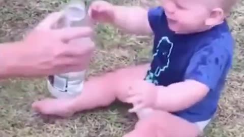 Funny baby videos