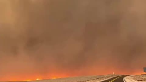 Cattle Running From Massive Fire In Texas