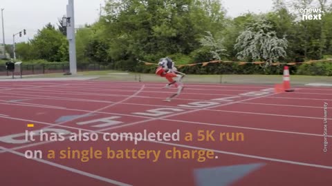 Guinness World Record for a 100-metre sprint