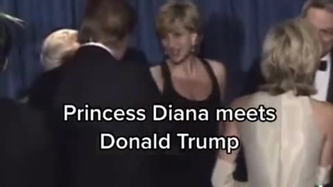 Ooops! Princess Diana Meets Donald Trump