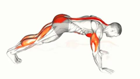 Standard pushups exercise at home easy workout