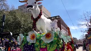 'It's good to be back': Mardi Gras returns